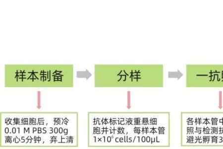 pbs洗涤细胞如何操作