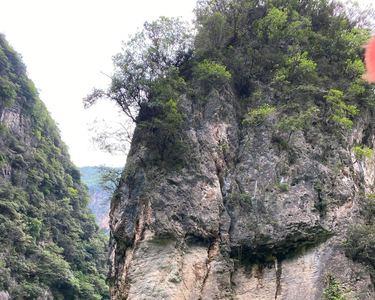 武陵峡桃花源景区好玩吗