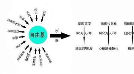 重金属和核辐射的区别