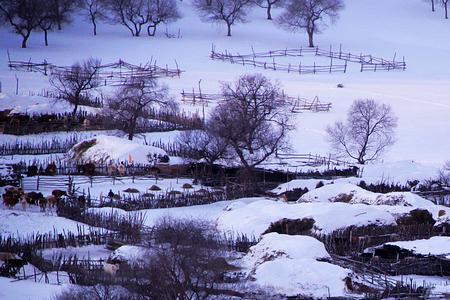 无极里的雪国是哪里