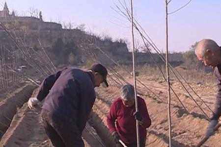 闻喜峨嵋岭森林公园要门票吗