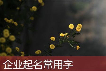 伟锦取名含义和意思