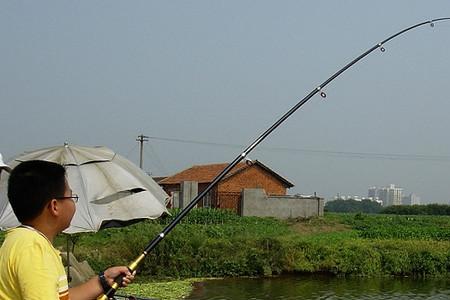 11月海竿怎么钓鱼