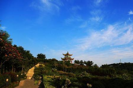 信阳龟山公园还扩建吗