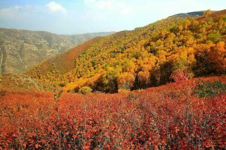 青海有大青山吗