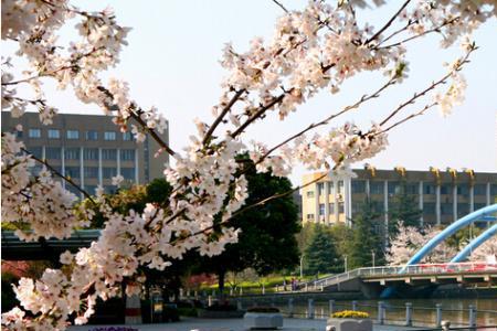 浙江工业大学在宜昌吗