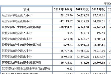 现金及现金等价物净额表示什么