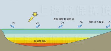 按水的状态水体可分为