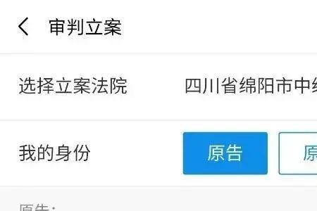 立案多久可以在审判流程网查询