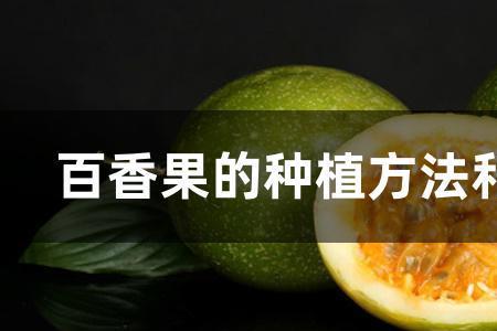 广东百香果种植时间表