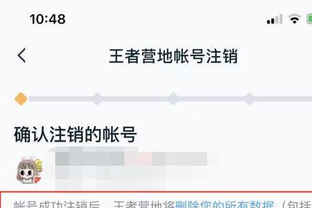 王者注销好友显示什么