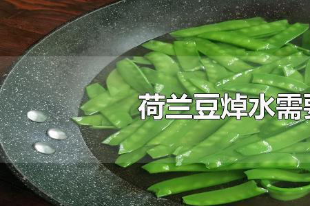 荷兰豆没有豆是啥