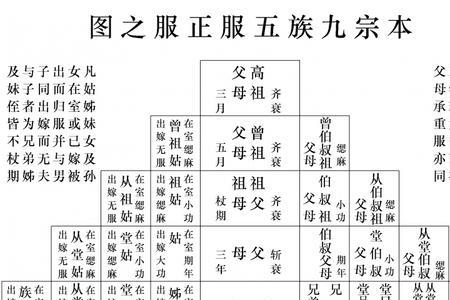 堂兄的孩子怎么称呼