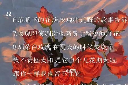 玫瑰不再浪漫什么意思