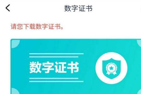 企业网银数字证书登录是什么