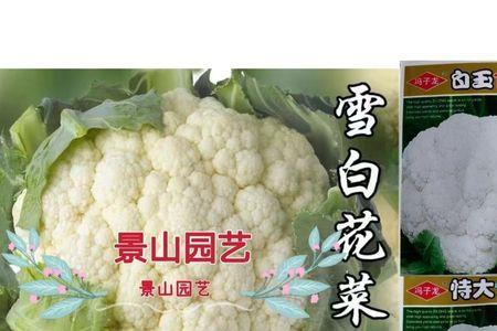 十大耐热花菜品种