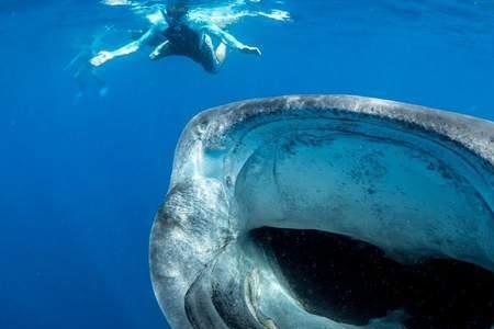 深海200米的水压会压死人