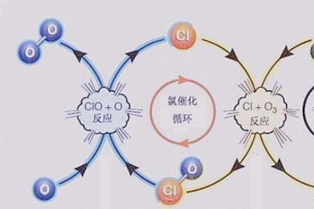 生活中含氯的物质