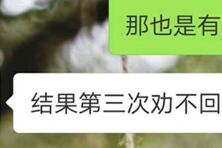 高火火和浩博怎么分开了