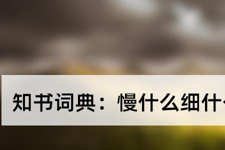 慢什么成语