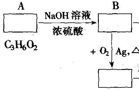 氢氧化碳什么梗