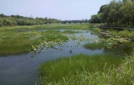 红岛绿洲湿地公园门票