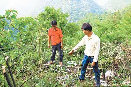 登山绳如何编制担架