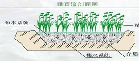 沼泽是人工湿地吗