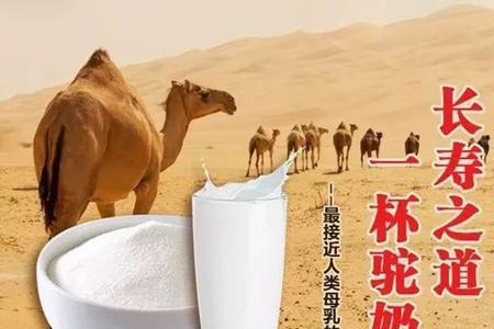 被誉为白金班的乳品是什么奶