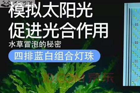 兰保爆藻灯和尼特利哪个好用