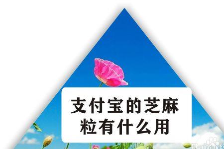 芝麻粒怎么兑换东西