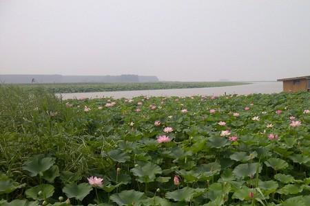 从曲阜怎么去微山湖