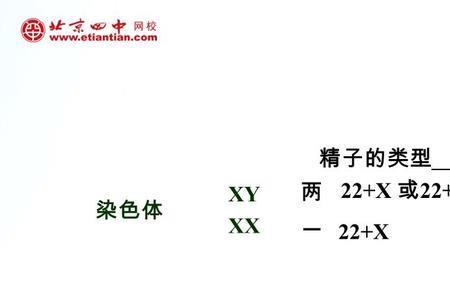 生物中正方形代表男性还是女性