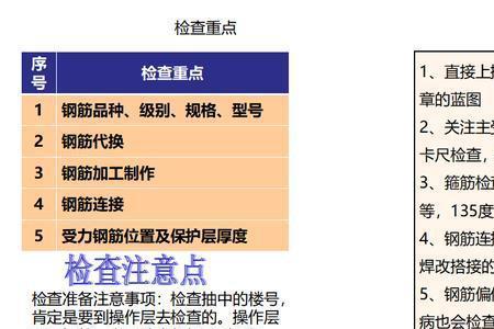 飞检项目检查哪些内容