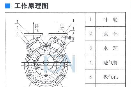 水环式真空泵间隙调整最佳方法