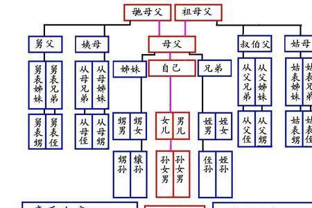 外公亲哥哥的儿子怎么称呼