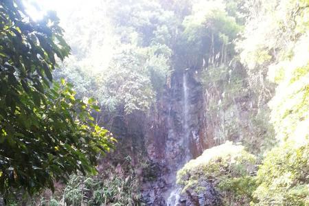 桂山野趣沟可以钓鱼吗