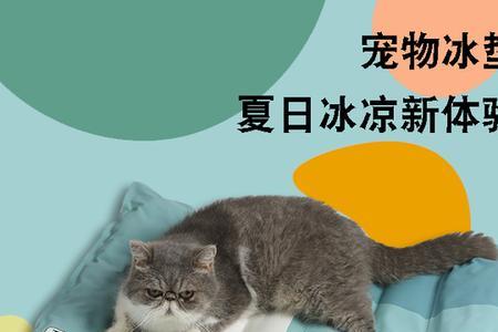 冰垫对猫有用吗