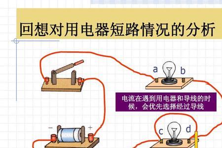 转莲是什么