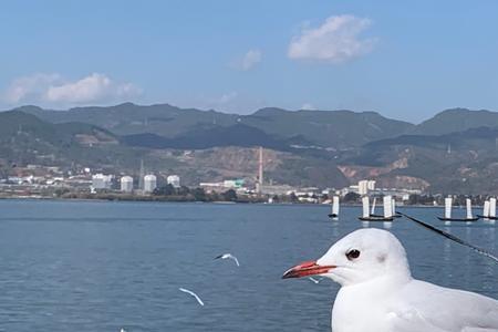 海埂大坝跟海埂公园哪里好玩