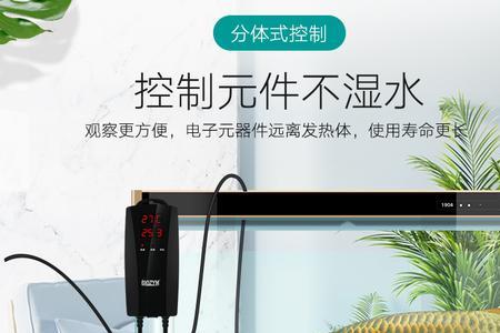 鱼缸必须买恒温的吗