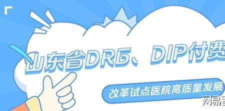 drg和dip是什么意思