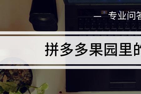 多多果园的菜园取消了吗