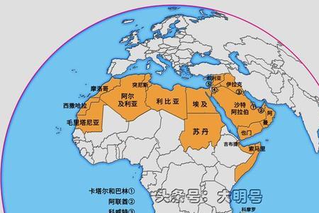 阿拉伯国家中实力最强的