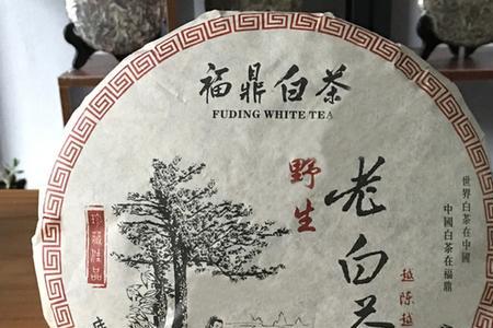 福鼎白茶怎么样靠谱吗