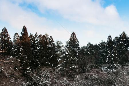 雪地什么意思