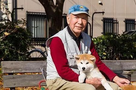 秋田犬可以养在院子里吗