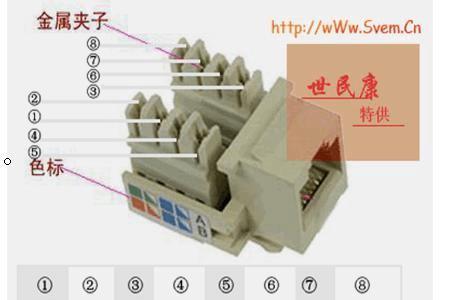 为什么网线插座不是橙白开头