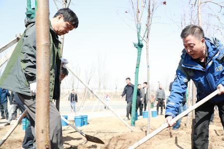 长春秋季什么时候植树最好