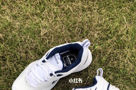 nikeairmonarch4尺码合适吗